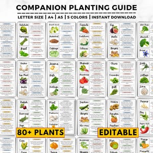 Companion Planting Guide: 80 Plants, Gardening Chart, Good & Bad Companion Plants, Vegetable, Herb, Flower, Garden Planner Printable PDF