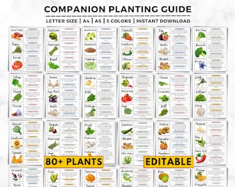 Companion Planting Guide: 80 Plants, Gardening Chart, Good & Bad Companion Plants, Vegetable, Herb, Flower, Garden Planner Printable PDF