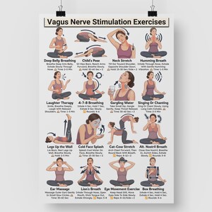 Puede incluir: Un p&oacute;ster titulado "Ejercicios de estimulaci&oacute;n del nervio vago" presenta ilustraciones de varios ejercicios. Estos incluyen t&eacute;cnicas de respiraci&oacute;n, estiramientos y otros m&eacute;todos, cada uno con breves instrucciones y recomendaciones de tiempo.