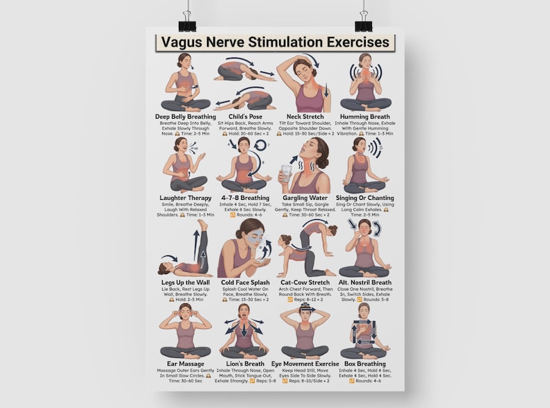 Puede incluir: Un p&oacute;ster titulado "Ejercicios de estimulaci&oacute;n del nervio vago" presenta ilustraciones de varios ejercicios. Estos incluyen t&eacute;cnicas de respiraci&oacute;n, estiramientos y otros m&eacute;todos, cada uno con breves instrucciones y recomendaciones de tiempo.