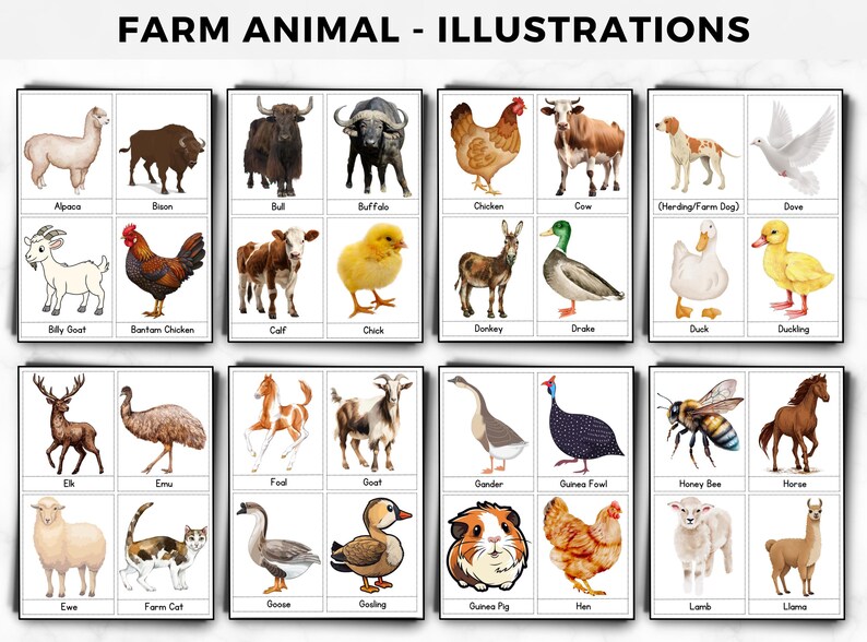 Farm Animals Montessori Flash Cards: 50 Learning Cards (editable ...