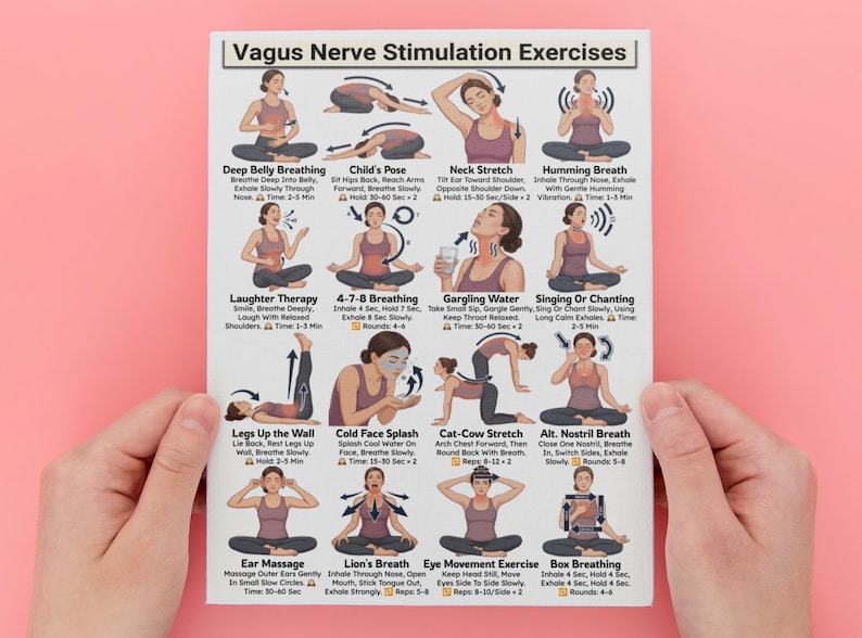 Puede incluir: Un p&oacute;ster blanco titulado "Ejercicios de estimulaci&oacute;n del nervio vago" con ilustraciones de varios ejercicios. El p&oacute;ster est&aacute; sostenido por manos sobre un fondo rosa. Los ejercicios incluyen t&eacute;cnicas de respiraci&oacute;n y estiramientos.