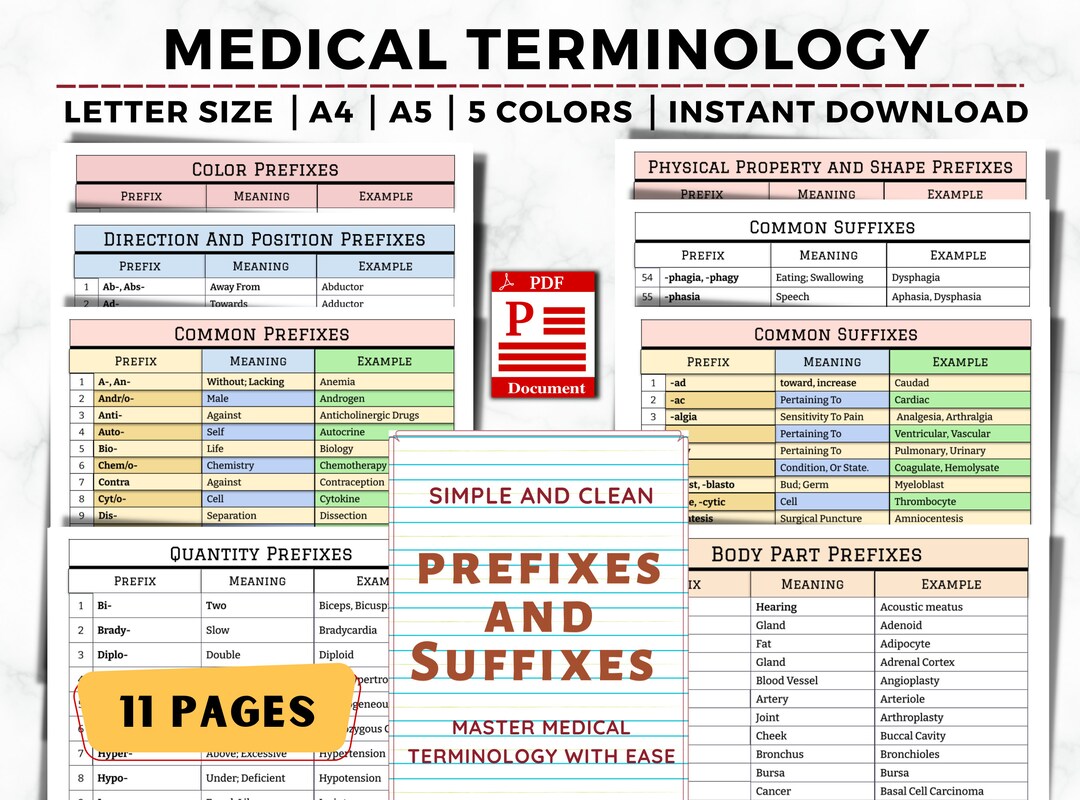 Fiches éclair de terminologie médicale préfixes et suffixes - Etsy France