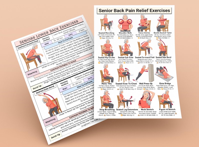 Back Pain Relief Exercises For Seniors, Lower Back Workout For Seniors, Chair Yoga Poster for Older Men, No Equipment Seated Exercise Chart image 2