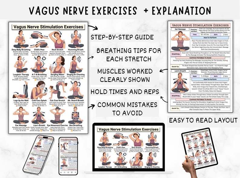 Puede incluir: Una gu&iacute;a titulada "Ejercicios del nervio vago + Explicaci&oacute;n" con instrucciones paso a paso para varios ejercicios. La gu&iacute;a incluye consejos de respiraci&oacute;n, m&uacute;sculos trabajados, tiempos de retenci&oacute;n, repeticiones y errores comunes a evitar. El dise&ntilde;o es f&aacute;cil de leer.