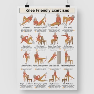 May include: A poster titled "Knee Friendly Exercises" displays illustrated exercises for knee health. The exercises include Heel Slides, Straight Leg Raise, Quad Sets, Glute Bridge, Clamshells, Mini Squats, Seated Torso Twist, Sit-to-Stand, March in Place, Seated Knee Extension, Wall Push-Ups, Calf Raise Supported, Single-Leg Balance, Side-Lying Leg Lift, Hip Extension, and Hip Abduction.