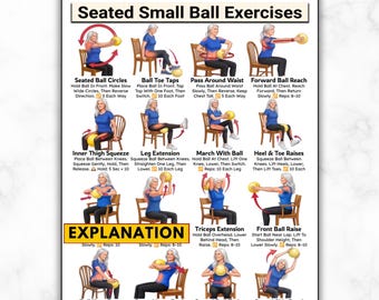 Mini Ball Exercises for Seniors, Seated Chair Workout Printable, Small Pilates Routine, Elderly Low Impact Strength Mobility Home Poster PDF