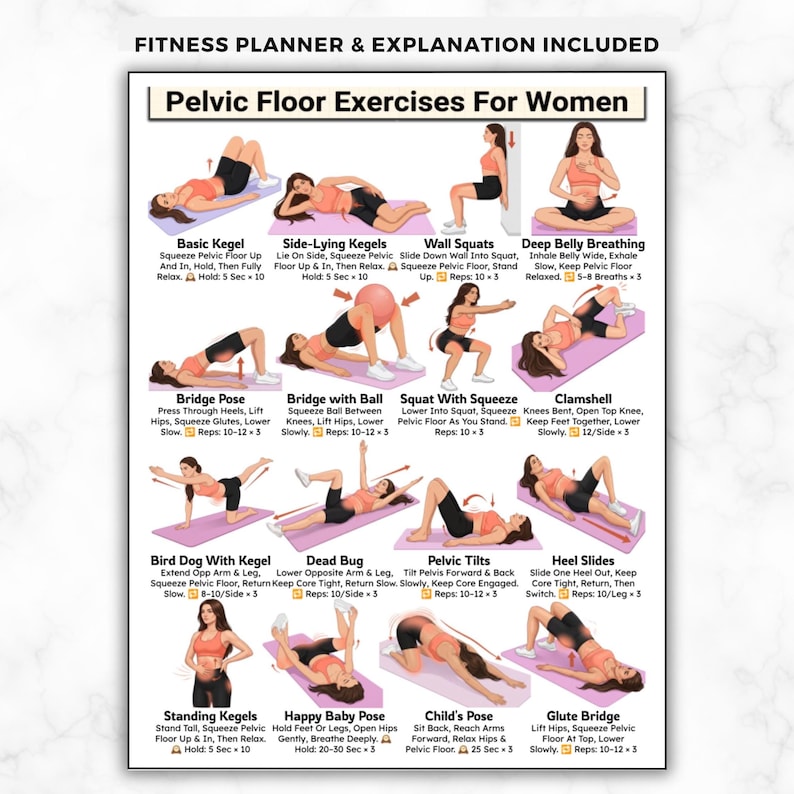 May include: A fitness planner with instructions for pelvic floor exercises for women. The poster includes illustrations and descriptions for various exercises, such as Basic Kegel, Side-Lying Kegels, Wall Squats, and Deep Belly Breathing. The exercises are designed to strengthen the pelvic floor.