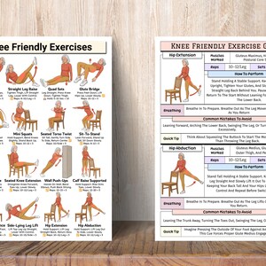May include: Two exercise guides titled "Knee Friendly Exercises" and "Knee Friendly Exercise Guide". The guides feature illustrations and instructions for various exercises, including hip extension and hip abduction, designed to be knee-friendly.