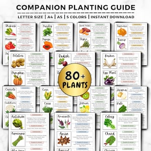 Begleiter Pflanzen Anleitung: Einfache Begleiter-Chart, Pflanzenkombinationen für einen blühenden Garten, Bestäuber anziehen & Schädlinge abwehren druckbare PDF Bild 1