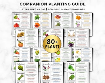 Companion Planting Guide: Easy Companion Chart, Plant Combinations For A Thriving Garden, Attract Pollinators & Repel Pests Printable PDF
