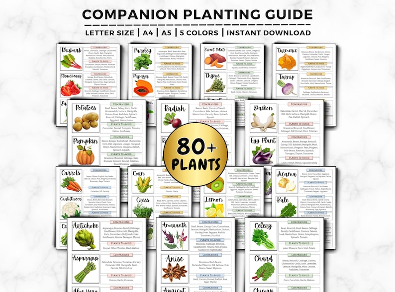Begleiter Pflanzen Anleitung: Einfache Begleiter-Chart, Pflanzenkombinationen für einen blühenden Garten, Bestäuber anziehen & Schädlinge abwehren druckbare PDF Bild 1