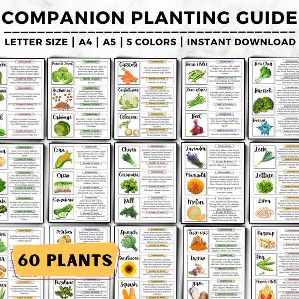 Guide de plantation d'accompagnement, Agenda de jardin, Plante d'accompagnement, Journal de jardin, Tableau d'aménagement du jardin, Organiseur de jardin, Tableau de plantation d'accompagnement