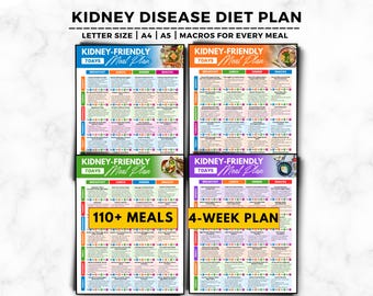 28 Days Kidney Disease Meal Plan, Kidney Stone Diet, Low Sodium, Potassium, 7-Day Menu, Kidney Friendly Renal Diet, CKD Patients Food List