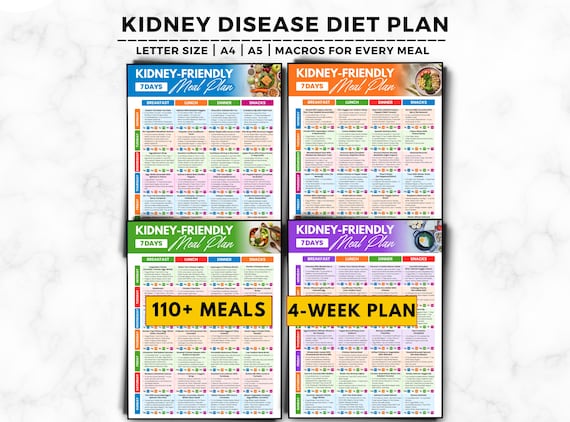 28 Days Kidney Disease Meal Plan, Kidney Stone Diet, Low Sodium, Potassium, 7-Day Menu, Kidney Friendly Renal Diet, CKD Patients Food List