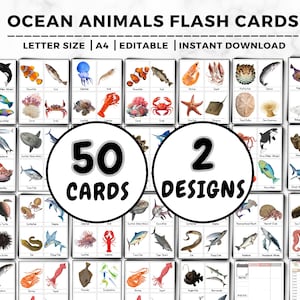 50 Cartões de memória de animais marinhos, Cartões de memória Montessori, Cartões de aprendizagem de criaturas marinhas, Animais marinhos, Vida marinha, Imagens e ilustrações reais