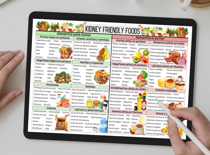 Puede incluir: Un gr&aacute;fico colorido con el t&iacute;tulo "Alimentos amigables para los ri&ntilde;ones" enumera los alimentos que se deben comer y evitar para la salud renal. El gr&aacute;fico est&aacute; dividido en categor&iacute;as como frutas, verduras, prote&iacute;nas, granos y l&aacute;cteos. Cada categor&iacute;a tiene una lista de alimentos para comer y evitar, con ilustraciones de los alimentos.