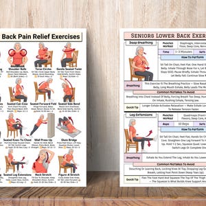 Back Pain Relief Exercises For Seniors, Lower Back Workout For Seniors, Chair Yoga Poster for Older Men, No Equipment Seated Exercise Chart image 12