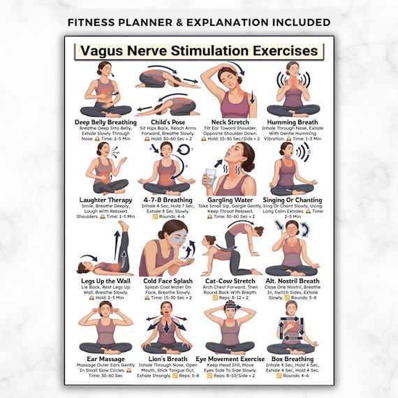 Vagus Nerve Stimulation Exercises, Anxiety Stress Relief, Somatic Exercises Nervous System Reset Regulation Breathing & Relaxation Routine