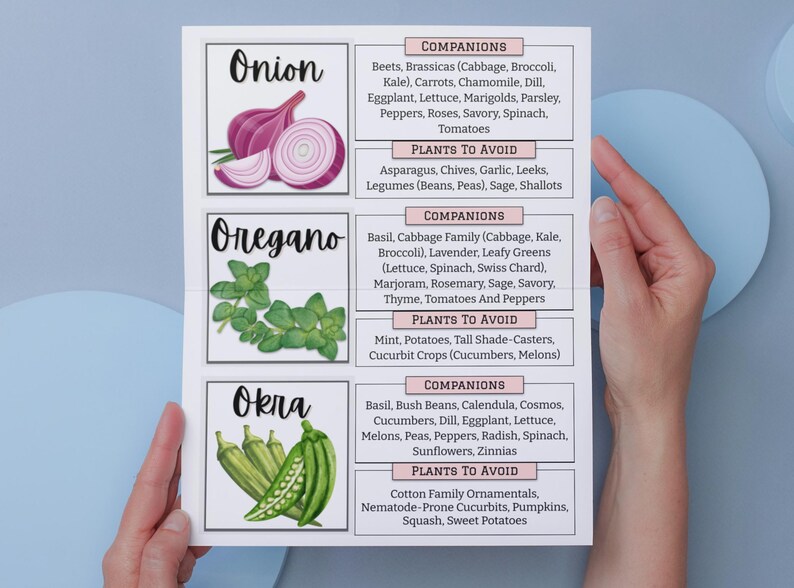 Begleiter Pflanzen Anleitung: Einfache Begleiter-Chart, Pflanzenkombinationen für einen blühenden Garten, Bestäuber anziehen & Schädlinge abwehren druckbare PDF Bild 9