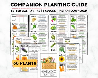 Companion Planting Guide, Garden Planner, Companion Plant, Garden Journal, Garden Planning Chart, Garden Organizer, Companion Planting Chart