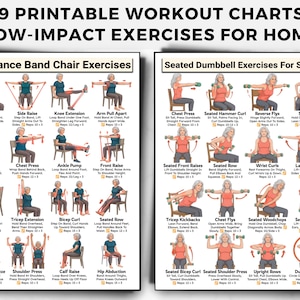 May include: Two printable workout charts titled 9 Printable Workout Charts Low-Impact Exercises For Home. The left chart shows resistance band chair exercises, and the right chart displays seated dumbbell exercises for seniors with illustrations.