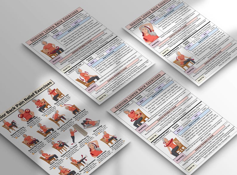 Back Pain Relief Exercises For Seniors, Lower Back Workout For Seniors, Chair Yoga Poster for Older Men, No Equipment Seated Exercise Chart image 6