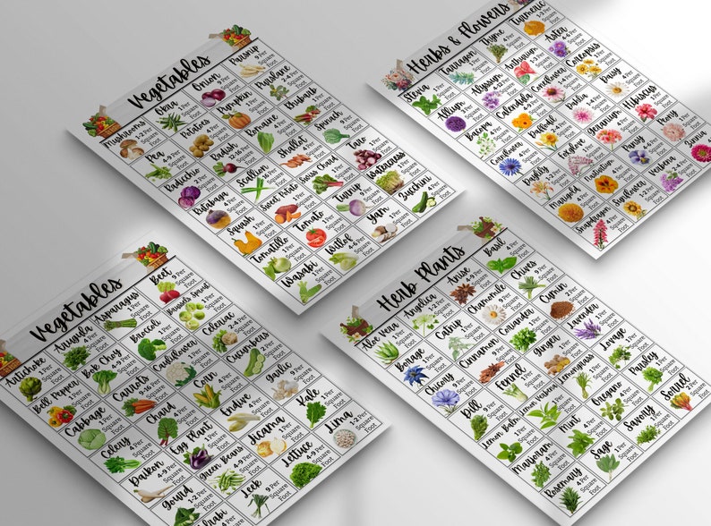 K&ouml;nnte beinhalten: Vier druckbare Diagramme mit Aquarell-Illustrationen von Gem&uuml;se und Kr&auml;utern. Jedes Diagramm ist in ein Raster mit dem Namen jeder Pflanze und dem empfohlenen Abstand in Quadratfu&szlig; unterteilt. Die Diagramme sind mit "Gem&uuml;se", "Gem&uuml;se", "Kr&auml;uter & Blumen" und "Kr&auml;uterpflanzen" betitelt.