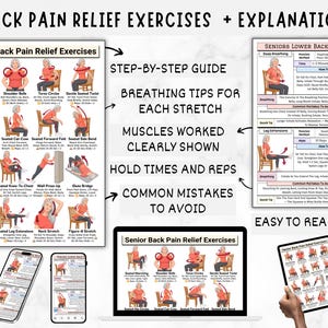 Back Pain Relief Exercises For Seniors, Lower Back Workout For Seniors, Chair Yoga Poster for Older Men, No Equipment Seated Exercise Chart image 5