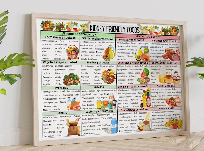 Puede incluir: Un gr&aacute;fico colorido titulado "Alimentos para los ri&ntilde;ones" enumera los alimentos que se deben comer y evitar para la salud de los ri&ntilde;ones. El gr&aacute;fico est&aacute; dividido en categor&iacute;as como frutas, verduras, prote&iacute;nas, cereales y l&aacute;cteos. Cada categor&iacute;a incluye una lista de alimentos para comer y evitar, junto con ilustraciones de los alimentos.