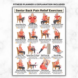 May include: A guide to senior back pain relief exercises. The poster shows illustrations of exercises such as seated marching, shoulder rolls, torso circles, and gentle seated twists. The exercises are designed to be done while seated or lying down.