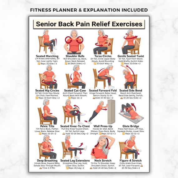 Back Pain Relief Exercises For Seniors, Lower Back Workout For Seniors, Chair Yoga Poster for Older Men, No Equipment Seated Exercise Chart