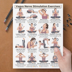 Puede incluir: Un p&oacute;ster blanco titulado "Ejercicios de estimulaci&oacute;n del nervio vago" con ilustraciones de varios ejercicios. El p&oacute;ster incluye texto que describe cada ejercicio, como "Respiraci&oacute;n abdominal profunda" y "Postura del ni&ntilde;o". El p&oacute;ster est&aacute; sostenido por una mano.