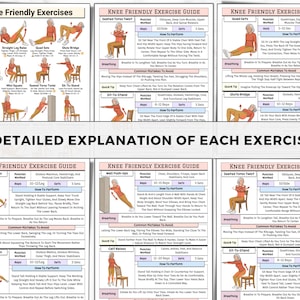 May include: A detailed exercise guide for knee-friendly exercises. The guide includes illustrations and instructions for various exercises, such as seated torso twists and hip extensions, with details on reps and sets.