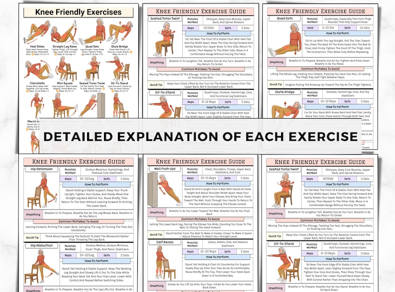 May include: A detailed exercise guide for knee-friendly exercises. The guide includes illustrations and instructions for various exercises, such as seated torso twists and hip extensions, with details on reps and sets.