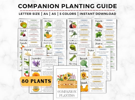洋書　Planting Companions Companion Planting: Organic Gardening Tips and Tricks for