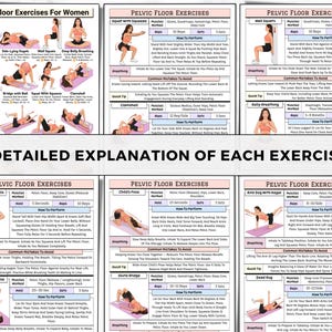 May include: A detailed guide with illustrations and instructions for pelvic floor exercises for women. The guide includes various exercises such as squats, bridges, and kegels, with explanations on how to perform each exercise.