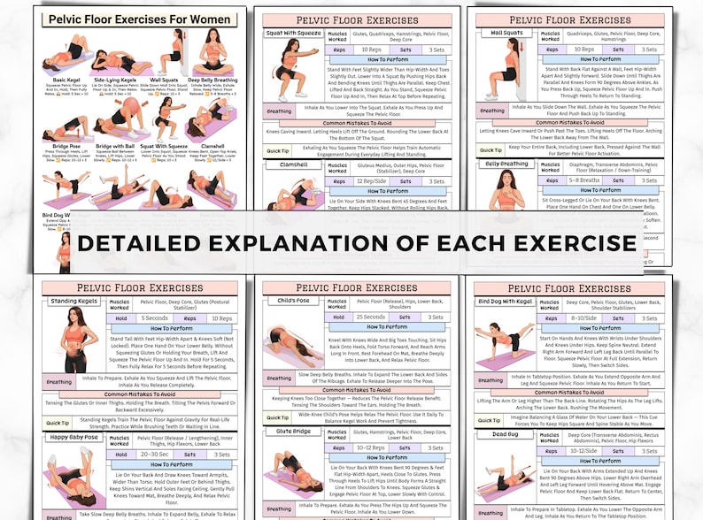 May include: A detailed guide with illustrations and instructions for pelvic floor exercises for women. The guide includes various exercises such as squats, bridges, and kegels, with explanations on how to perform each exercise.
