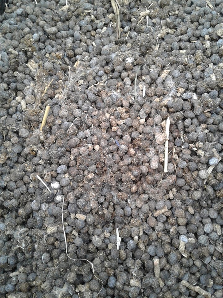 Rabbit Manure Fertilizer 1 Lb Please Read Description Etsy