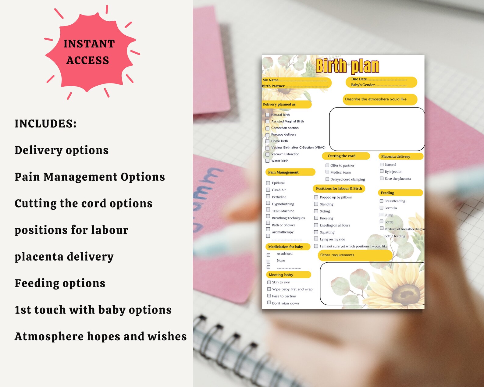 Birth Plan Template, Digital Birth Plan Template, Printable Birthing ...