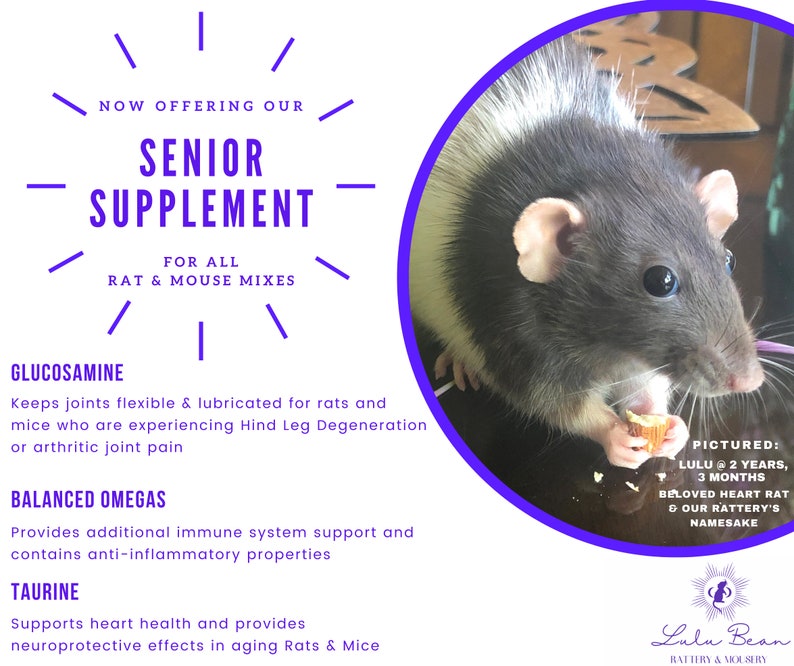 Organic Rat Mouse & Hamster Food Etsy