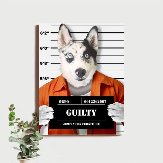 Gag Pet Mugshot Portrait, Personalized Gag Pet Portrait, Funny Pet Portrait Gift, Custom Funny Pet Portrait, Mugshot Pet Portrait Gag Gifts