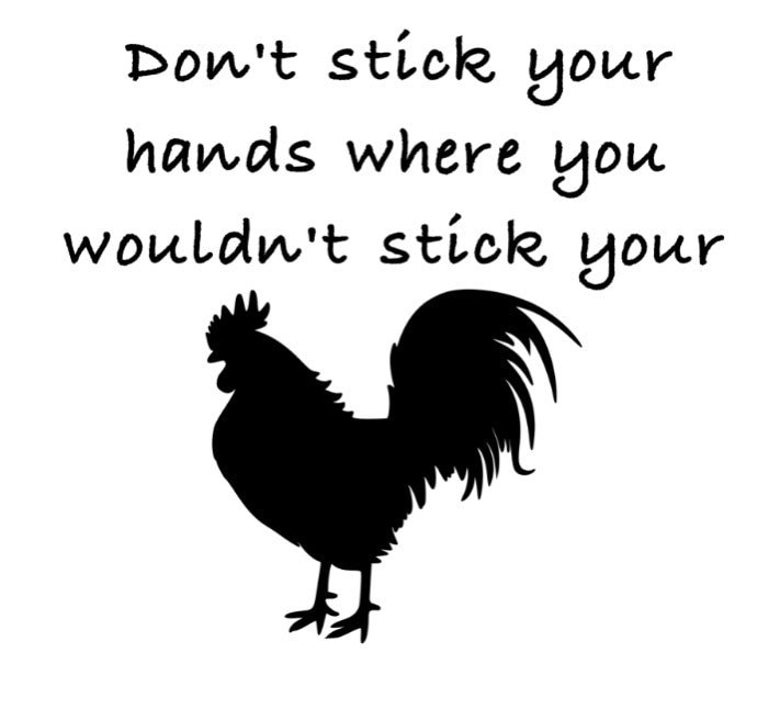 Dont stick your hands where you wouldnt stick your pecker Etsy