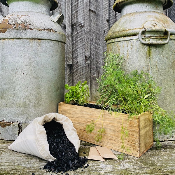 Window Herb Garden Kit Etsy