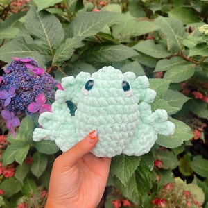 Fabian the Frog Crochet PATTERN + Poison Dart Frog MOD
