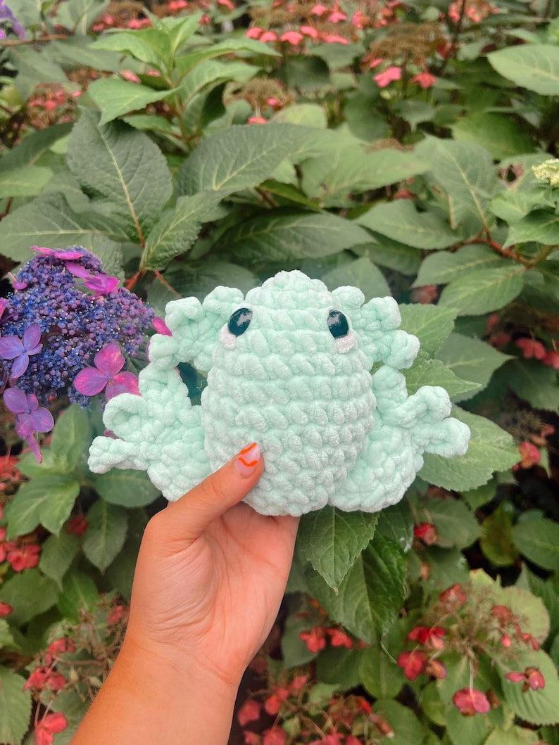 May include: A light green crocheted frog plush toy with black eyes. The frog is being held in a hand with orange nail polish.