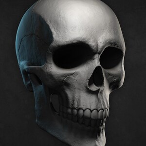 Human Skull STL for 3D print