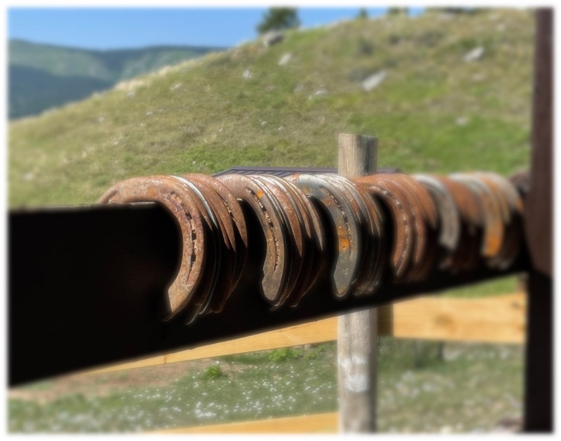 10 Used Horseshoes / Used Horseshoes Horse Shoes Welding Supplies