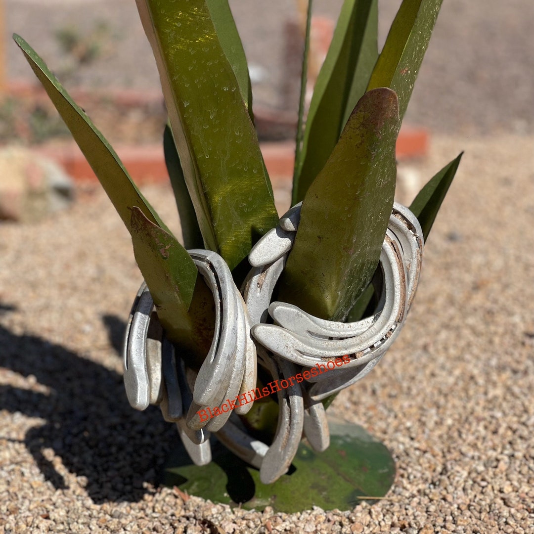 10 Used ALUMINUM Horseshoes / Used Horseshoes Horse Shoes Etsy