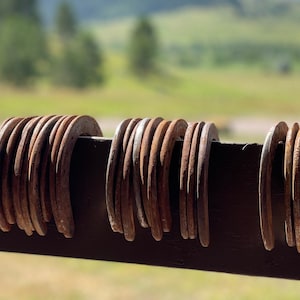 May include: A collection of weathered, rusty horseshoes hanging on a dark brown wooden rail. The horseshoes are arranged in neat rows, showcasing their curved shape and aged metal texture. The background features a blurred green landscape.